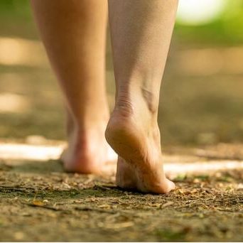 Nächste Schritte gehen nach der Beratung von Familientaucher